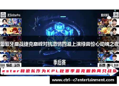 葡萄牙鏖战捷克巅峰对抗激情四溢上演绿茵惊心动魄之夜