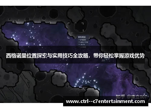 西格诺里位置探索与实用技巧全攻略，带你轻松掌握游戏优势