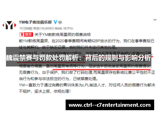 魏震禁赛与罚款处罚解析：背后的规则与影响分析